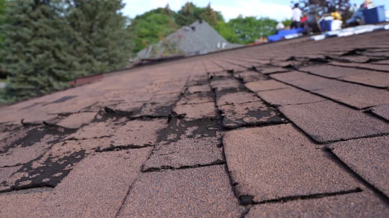 Fast & Reliable Emergency Roof Repairs in Cuyahoga Falls, OH