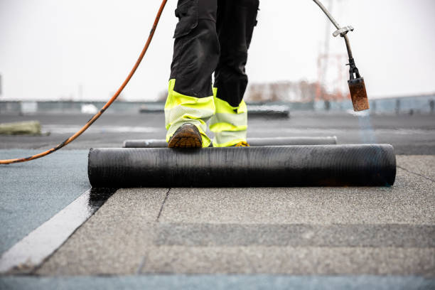 Best Roof Maintenance and Cleaning  in Cuyahoga Falls, OH